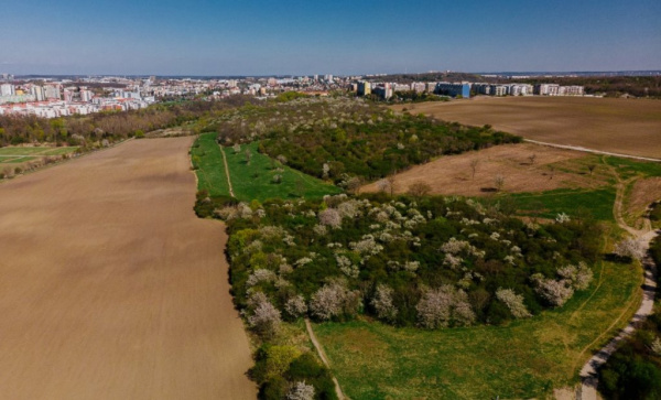 Trojmezí se konečně může dočkat revitalizace. Hlavní město získá prvních 5,5 hektaru v této lokalitě